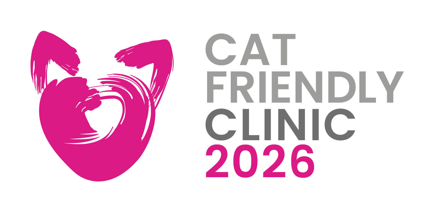 Wir sind eine zertifizierte „Cat Friendly Praxis“!